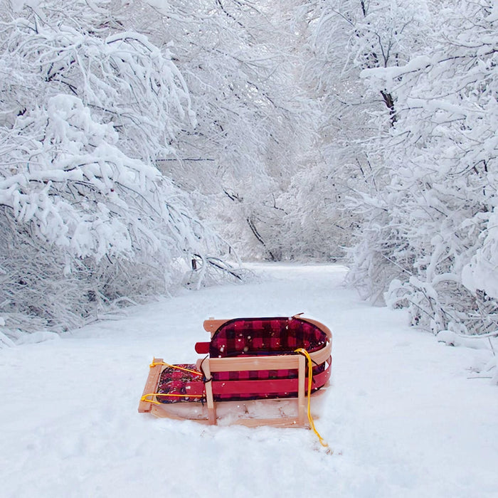 Wooden Snow Sled with Cushion Seat and Pulling Rope Toboggan