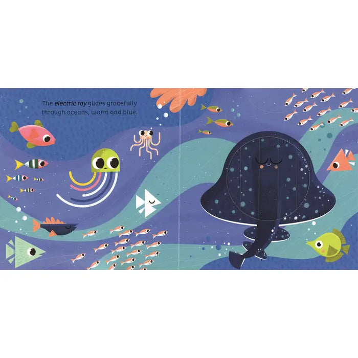 Animal Magic: in the Ocean - an interactive book