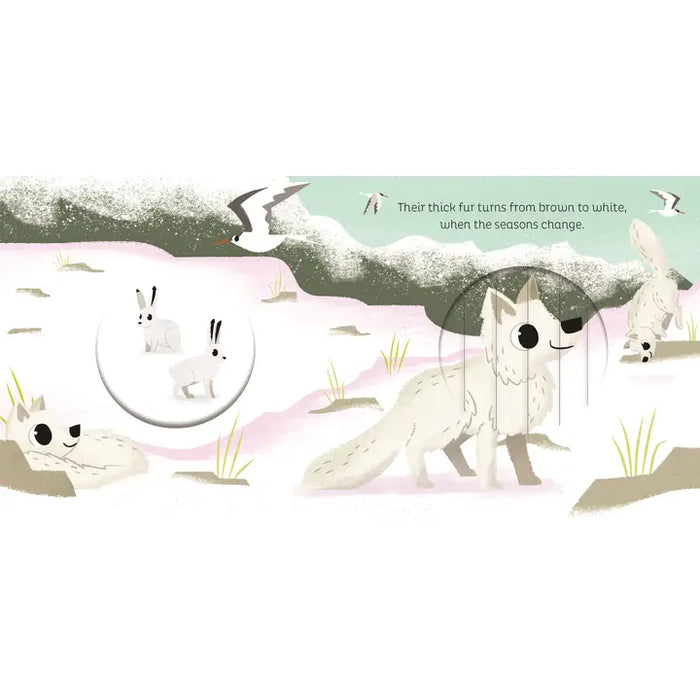 Animal Magic: in the Snow - an interactive book