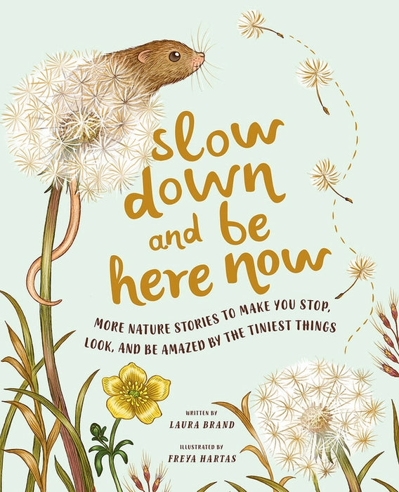 Slow Down and Be Here Book