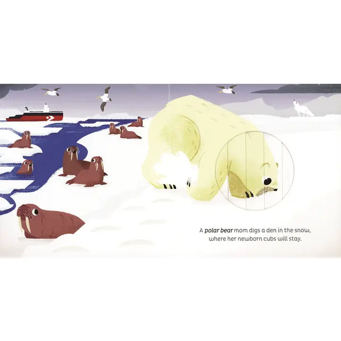 Animal Magic: in the Snow - an interactive book