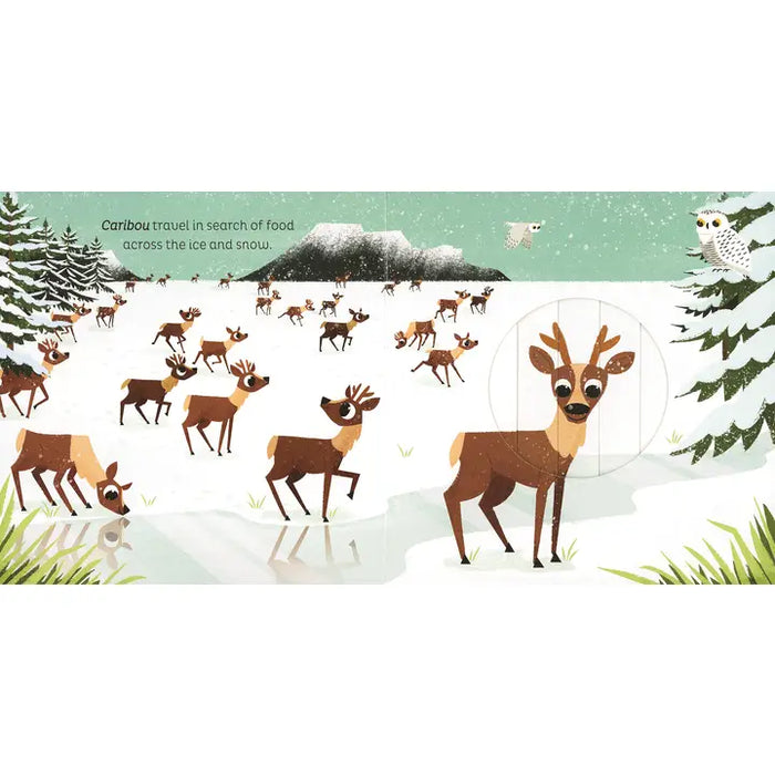 Animal Magic: in the Snow - an interactive book