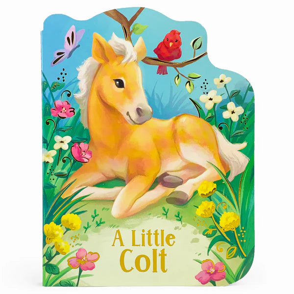 A Little Colt Board Book