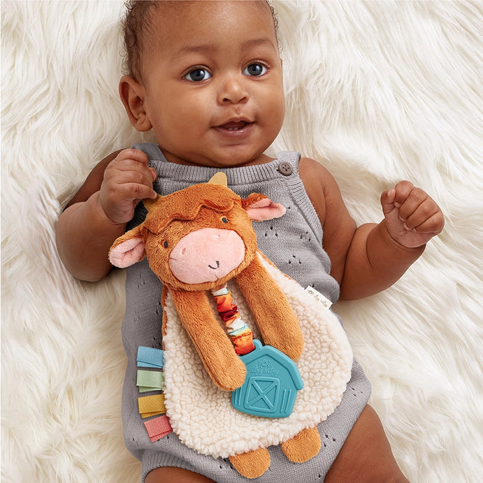 Wyatt the Highland Cow Itzy Lovey Plush with Teether Toy