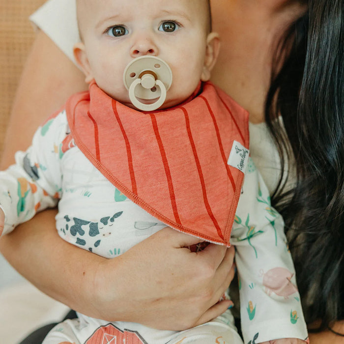 Farmstead Baby Bandana Bib Set of 4