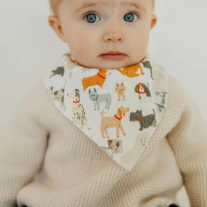 Rufus Baby Bandana Bib Set of 4