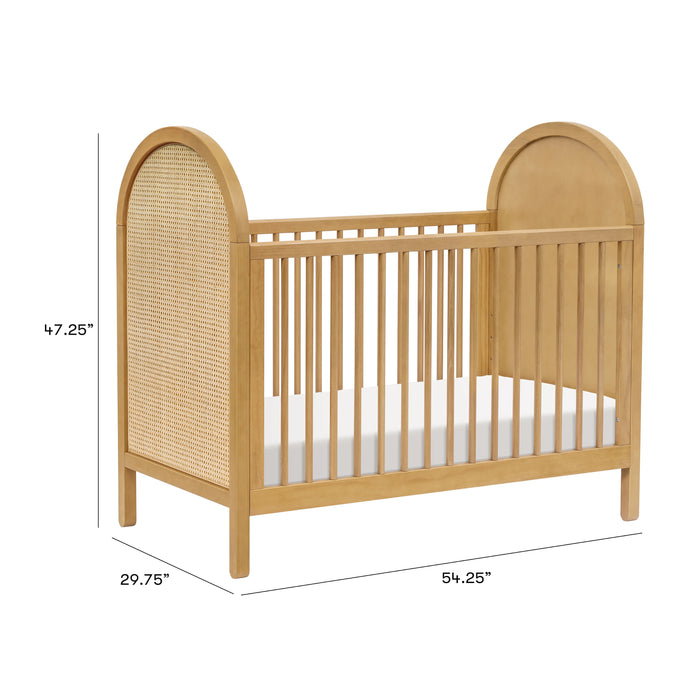 Bondi Cane 3-in-1 Convertible Crib w/ Toddler Conversion Kit