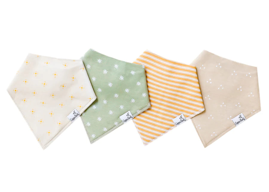 Santa Fe Baby Bandana Bib Set of 4