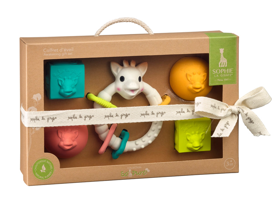 So'pure Early Learning Gift Set Blocks & Balls