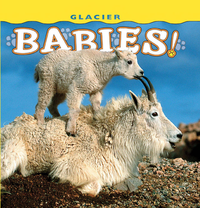 Glacier Babies Book