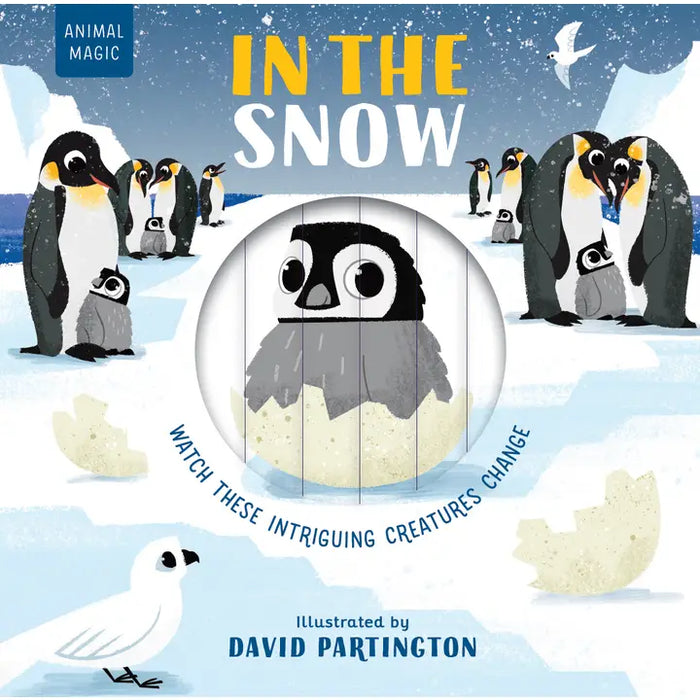 Animal Magic: in the Snow - an interactive book