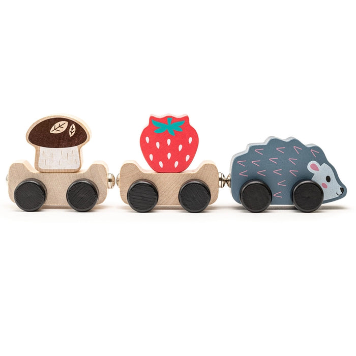 Clever Hedgehog Wooden Car Set