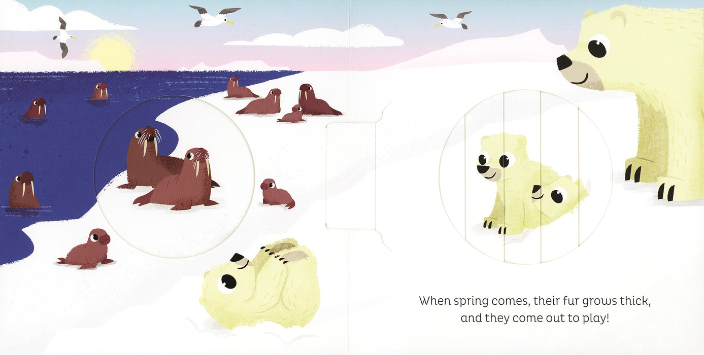 Animal Magic: in the Snow - an interactive book