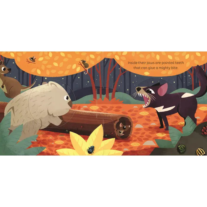 Animal Magic: in the Night - an interactive book