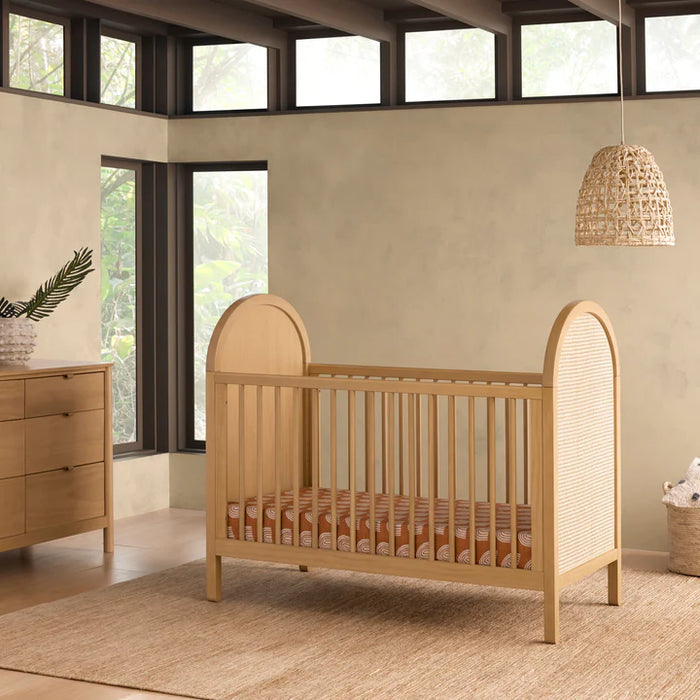 Bondi Cane 3-in-1 Convertible Crib w/ Toddler Conversion Kit