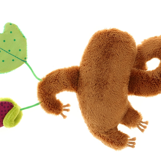 Sloth Activity Plush | SigiKid