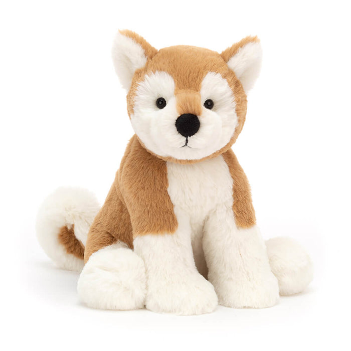 Milo Shiba Inu - Medium