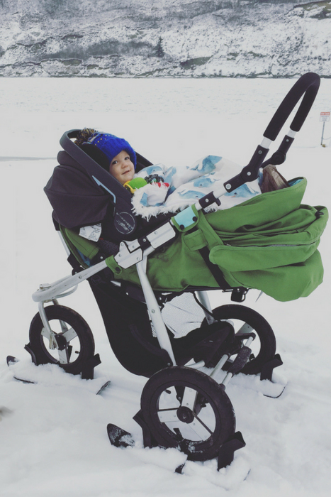 Exclusive Stroller Skis