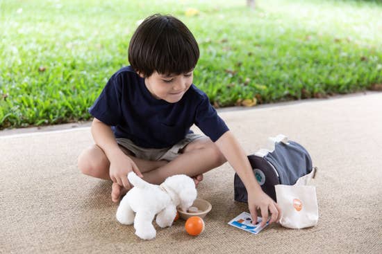 Wooden Pet Care Set | PlanToys