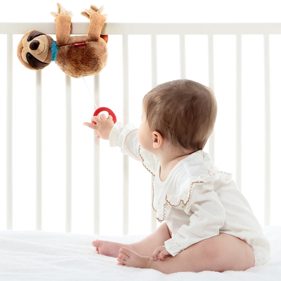 Hanging Sloth Musical Plush Toy | SigiKid