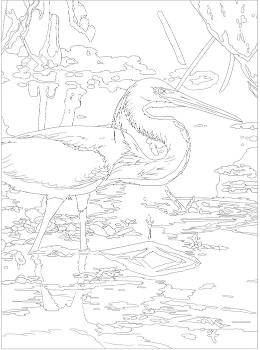 National Parks Coloring Books