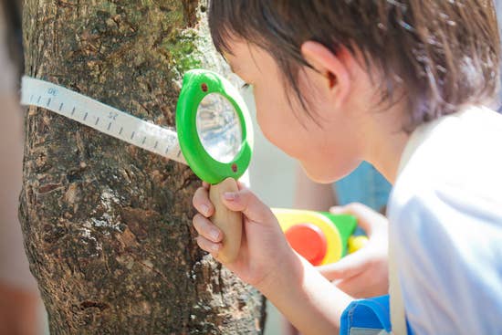 Leaf Magnifier | PlanToys